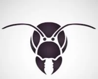 Ant Nation Youtube