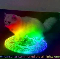 Chaos Cat