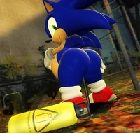 Thicc Sonic