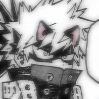 Katsuki Bakugo- Cat