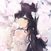 Risoudere Kitsune