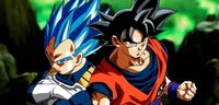 Goku and Vegeta