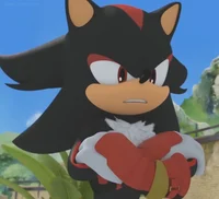 Shadow the hedgehog