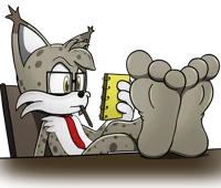 Lester the Lynx feet