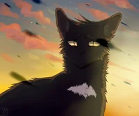 Ravenpaw