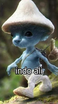 Indo Ali