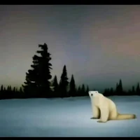 29-9-2023 polar bear