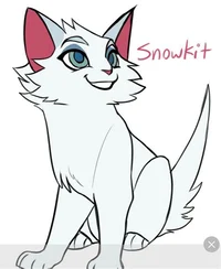 Snowkit