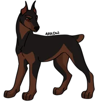 Arrow the fiercedog