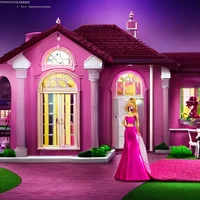 your Barbie supplies