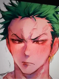 Zoro  esta carente 