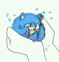My Pet Sonic
