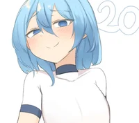 R3 T20 FA-HS