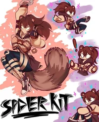 Spder kit