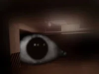 The eye