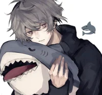 Shark besfriend 