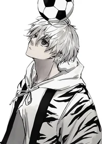 Seishiro Nagi