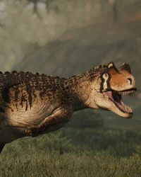 Ceratosaurus