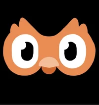 Diego The OrangeBird