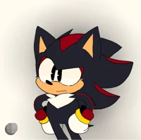 Shadow T hedgehog