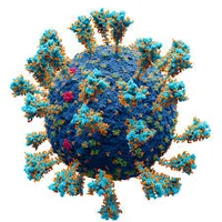 WG Virus