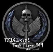 Task force 141