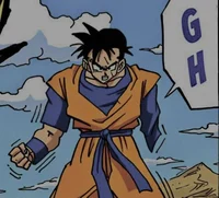 Future Gohan