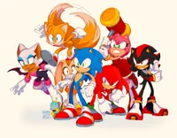 Team sonic 2