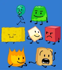 BFB Male