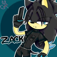 Zack the hedgehog