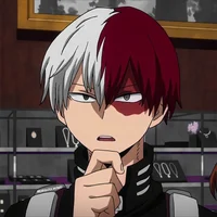 Shoto Todoroki