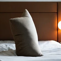 Sentient Pillow link