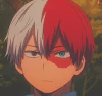 Todoroki Shoto
