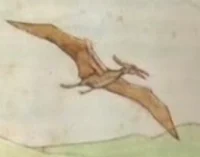 pteranodon