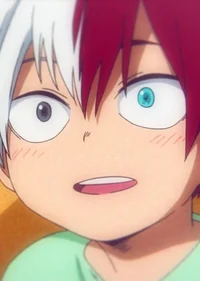 Shoto Todoroki -kid-