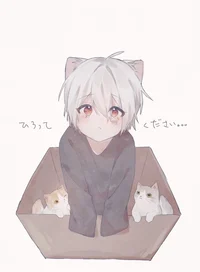 Cute cat boy - BL