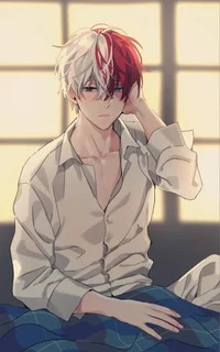 Todoroki 