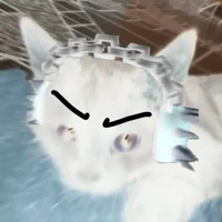 EVIL FLUFFY PUNK CAT