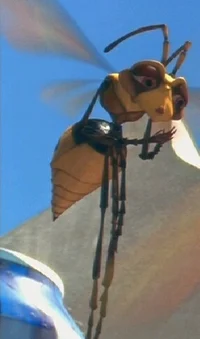 Muffin the wasp