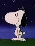 Snoopy sr
