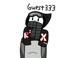 Guest 333