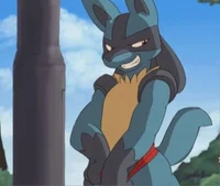 Thorn the lucario