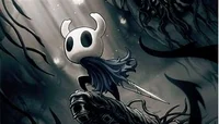 Hollow knight rpg