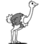 Ostrich