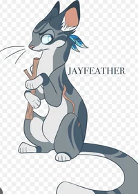 Jayfeather is mad