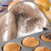 Bunny who makes buns