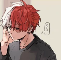 BHNA Shoto Todoroki
