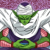 Piccolo