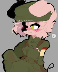 Soldier-Piggy