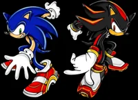 The sonic group